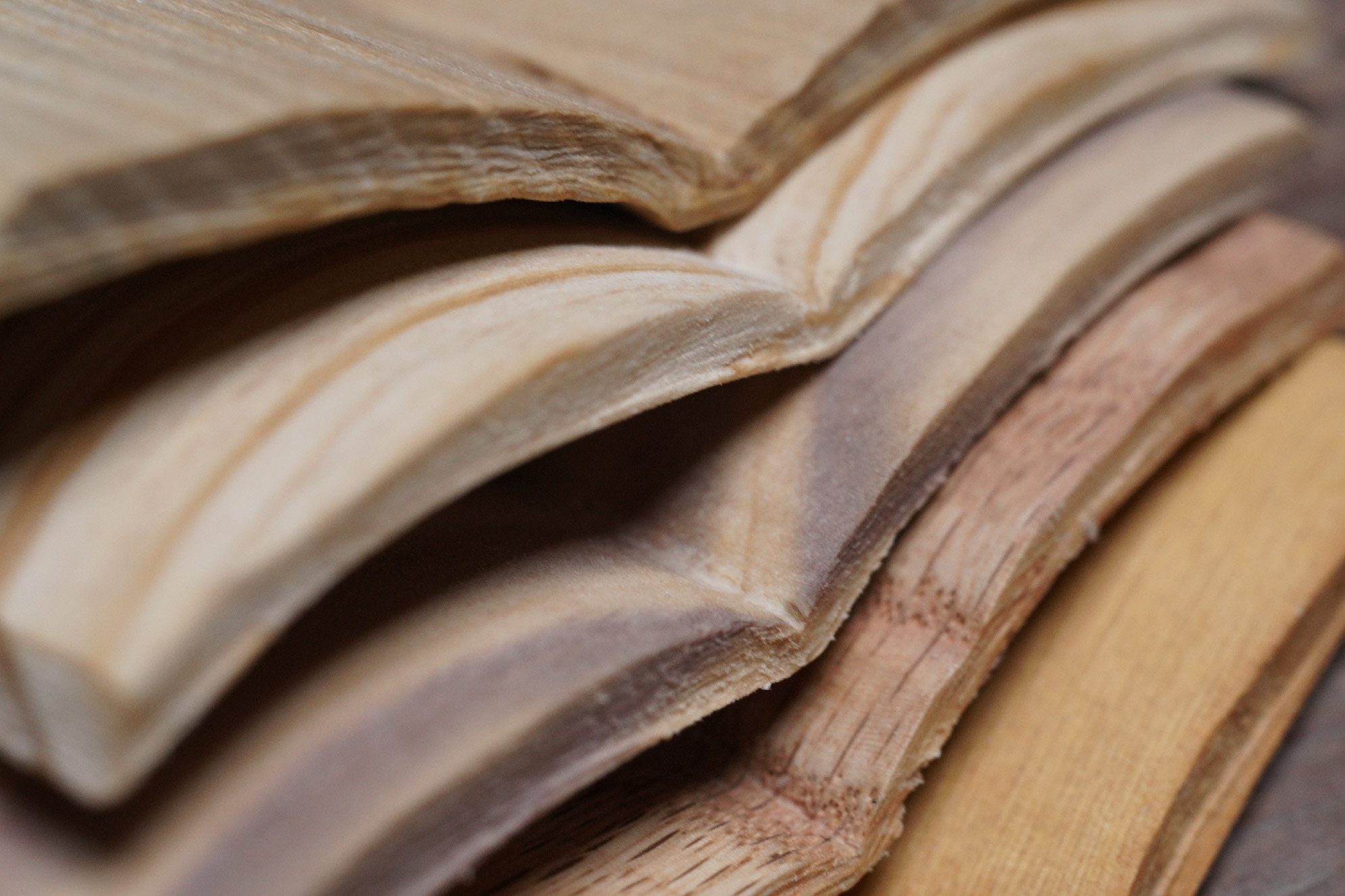 由上至下依序為栓木、杉木、亞杉(台灣杉)、紅橡、黃檜(台灣扁柏)