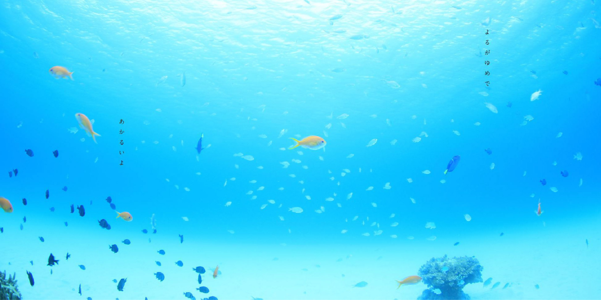 《夜晚,孩子們明亮的夢》內頁(圖片來源:<a href="https://www.amazon.co.jp/%E3%82%88%E3%82%8B%E3%81%AE%E3%81%93%E3%81%A9%E3%82%82%E3%81%AE%E3%81%82%E3%81%8B%E3%82%8B%E3%81%84%E3%82%86%E3%82%81-%E8%B0%B7%E5%B7%9D-%E4%BF%8A%E5%A4%AA%E9%83%8E/dp/4896376188" target="_blank">amazon</a>)